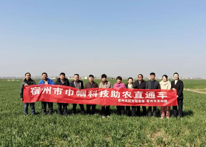 155344-504418.jpg 1.jpg