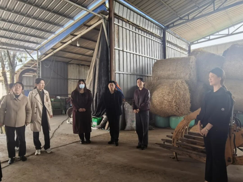 095646-829645.png PixPin_2026-04-15_09-53-37.png